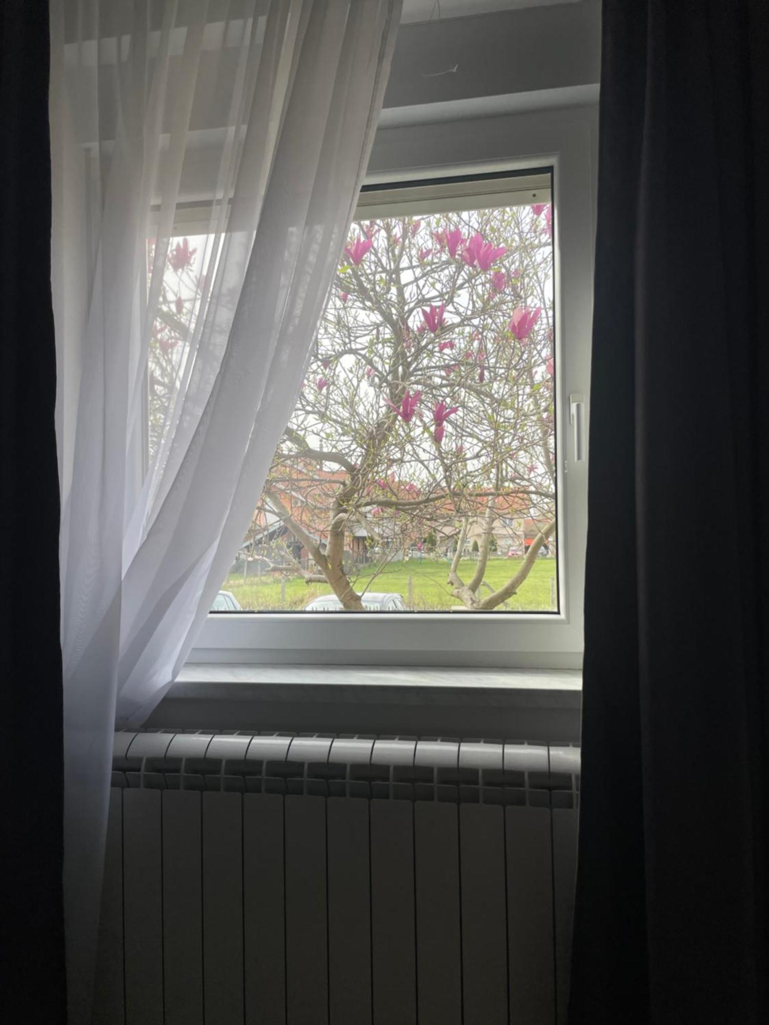 Deluxe Apartment Magnolia 2 Bělehrad Exteriér fotografie